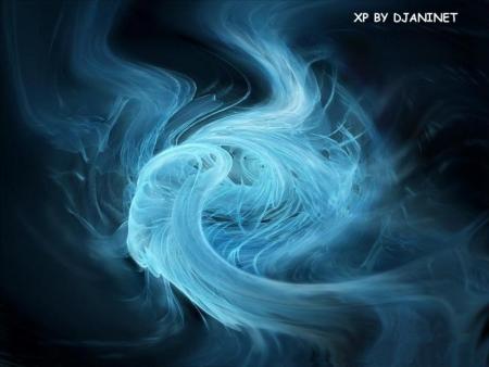 les fleur de la nuit